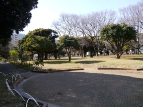 神奈川公園