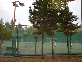 木場公園テニスコート