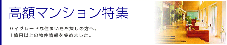 ���z�}���V�������W