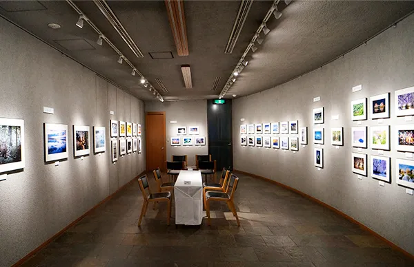 展覧会の写真