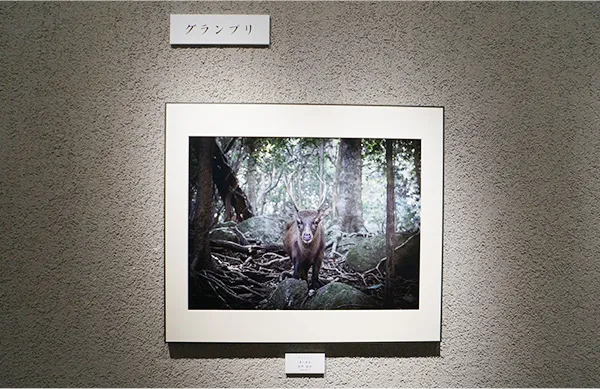 展覧会の写真