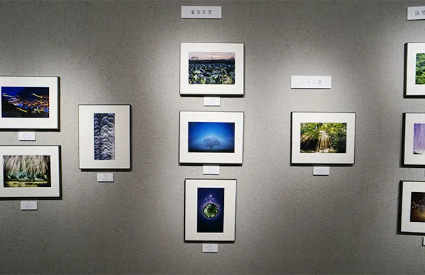 展覧会の写真