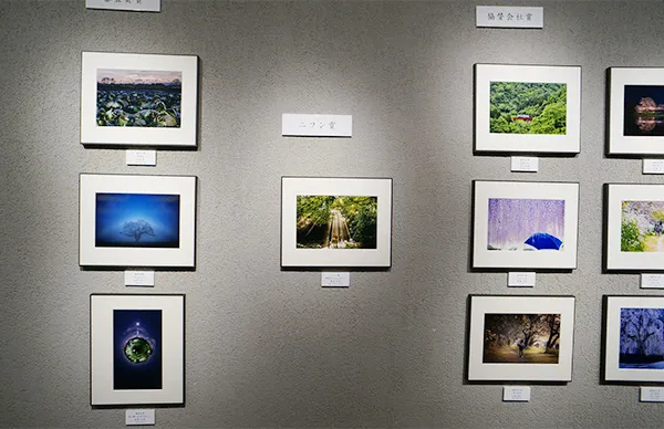 展覧会の写真