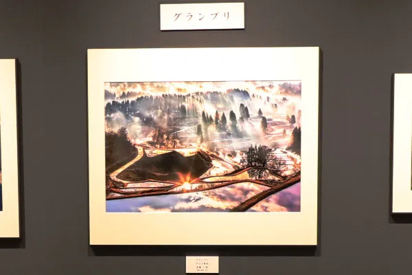 展覧会の写真