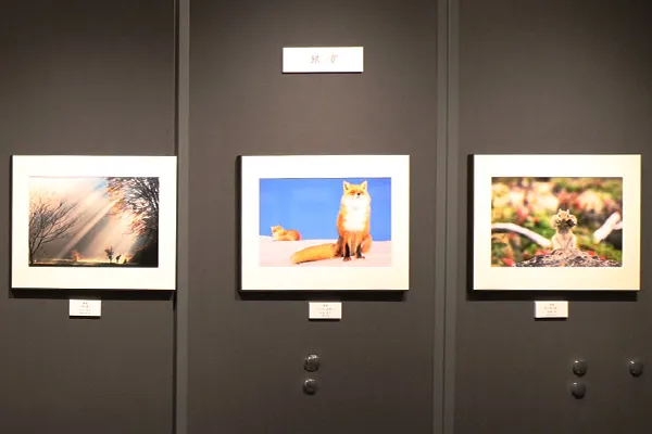 展覧会の写真
