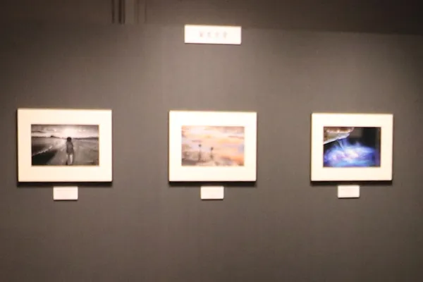 展覧会の写真