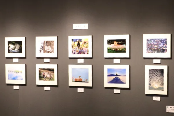 展覧会の写真
