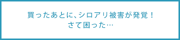 買ったあとに、シロアリ被害が発覚！さて困った…