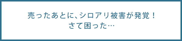 売ったあとに、シロアリ被害が発覚！さて困った…