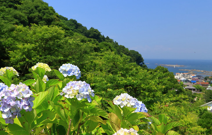 湘南 海から近い物件特集 住友不動産販売