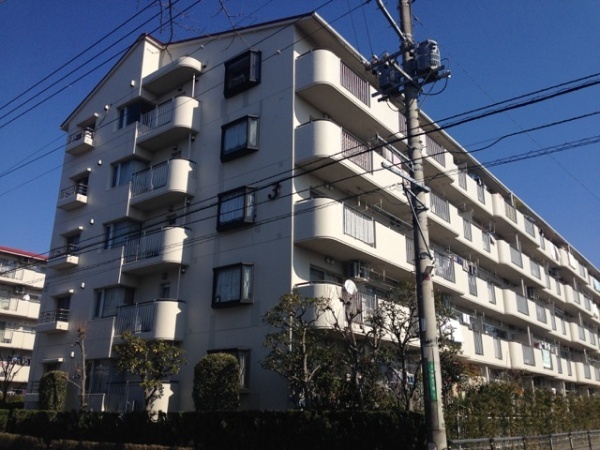 さがみ野さくら