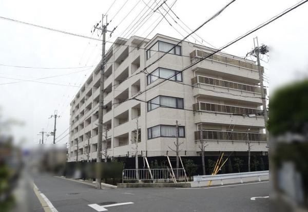 ネバーランド桂