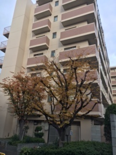 グランディ深井東