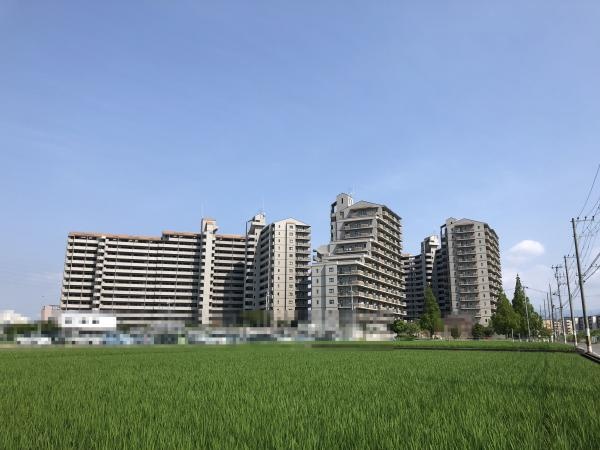 メゾンドールラーバン和泉