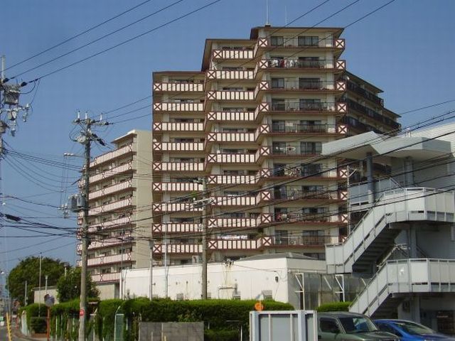 ブリティッシュ・ティンバー尾崎