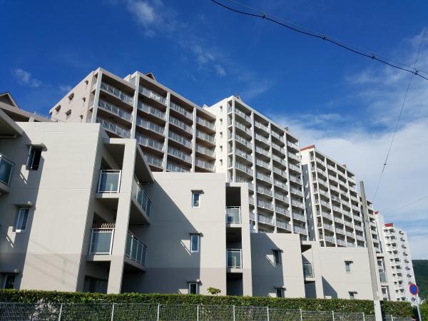 ジェームス山ヒルズ