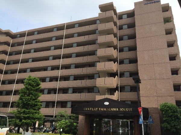 セントレー玉川上水