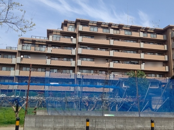 クレッセント稲田堤