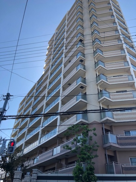 ルネ白鷺