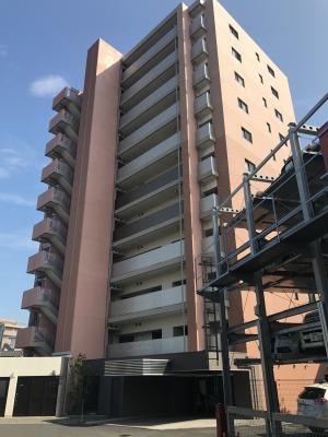 デュオ愛甲石田