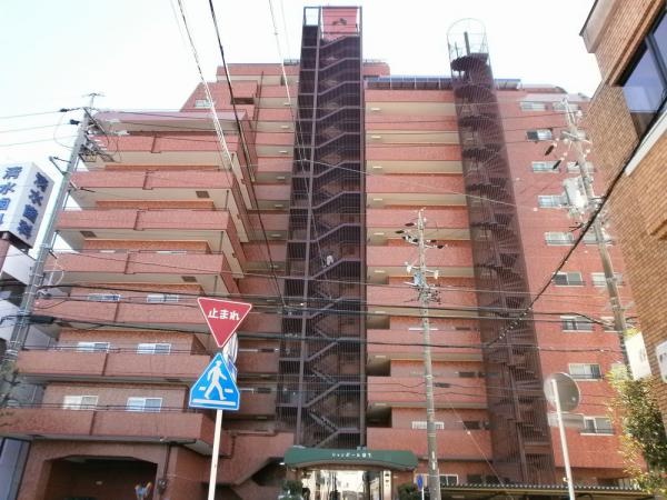 シャンボール康生