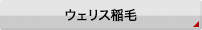 EFX