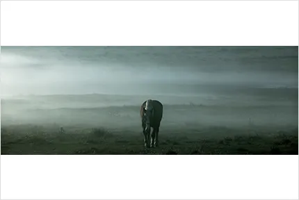 武藤 健二さん（愛知県） 「no title」