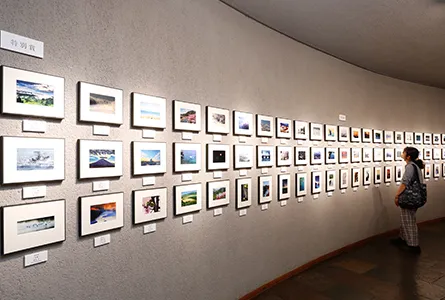 展覧会の写真