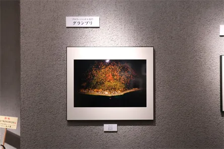 展覧会の写真