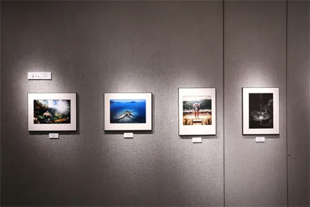 展覧会の写真