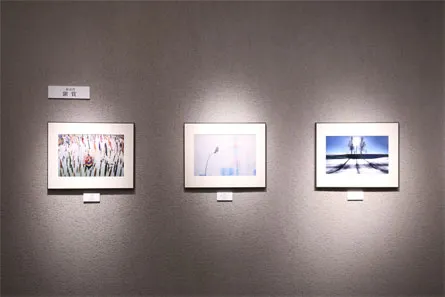 展覧会の写真