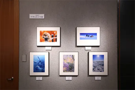 展覧会の写真