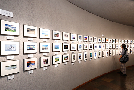 展覧会の写真
