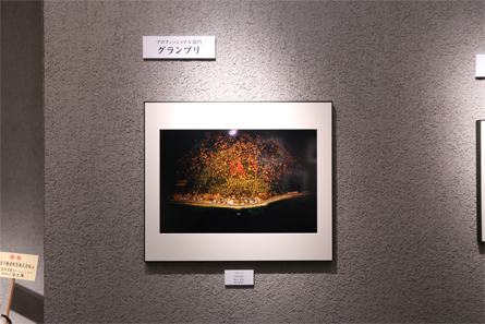 展覧会の写真