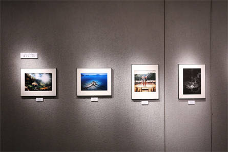 展覧会の写真