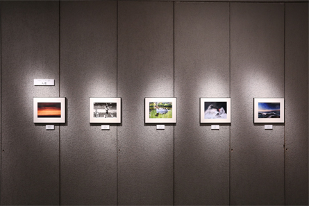 展覧会の写真