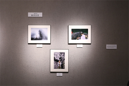 展覧会の写真
