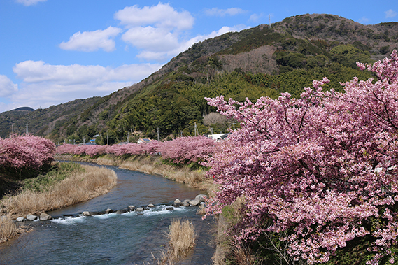 奈良 芳子 さん (静岡県) 「早春」
