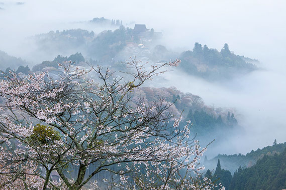 松元 澄夫 さん (奈良県) 「幻想吉野山」