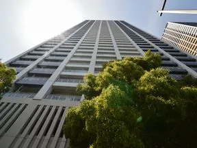 南側より