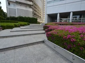 敷地内植栽