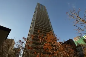 東側から見た概観