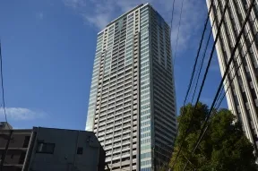 南東側から見た概観
