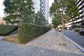 北側歩道