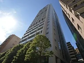 敷地北東から見上げた外観
