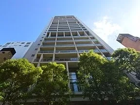 西側から見上げた外観