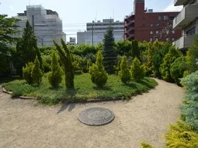 神宮通公園