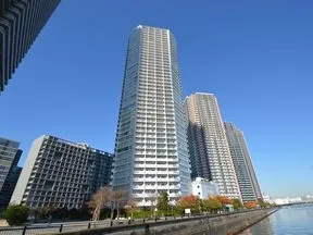 辰巳桜橋より