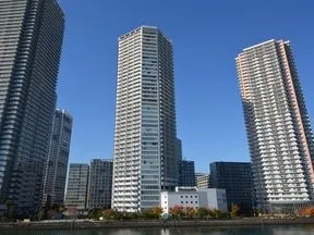 辰巳桜橋より
