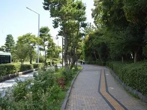 シンボルロード